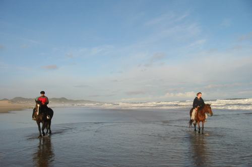 Oyster Bay Lodge (5)
